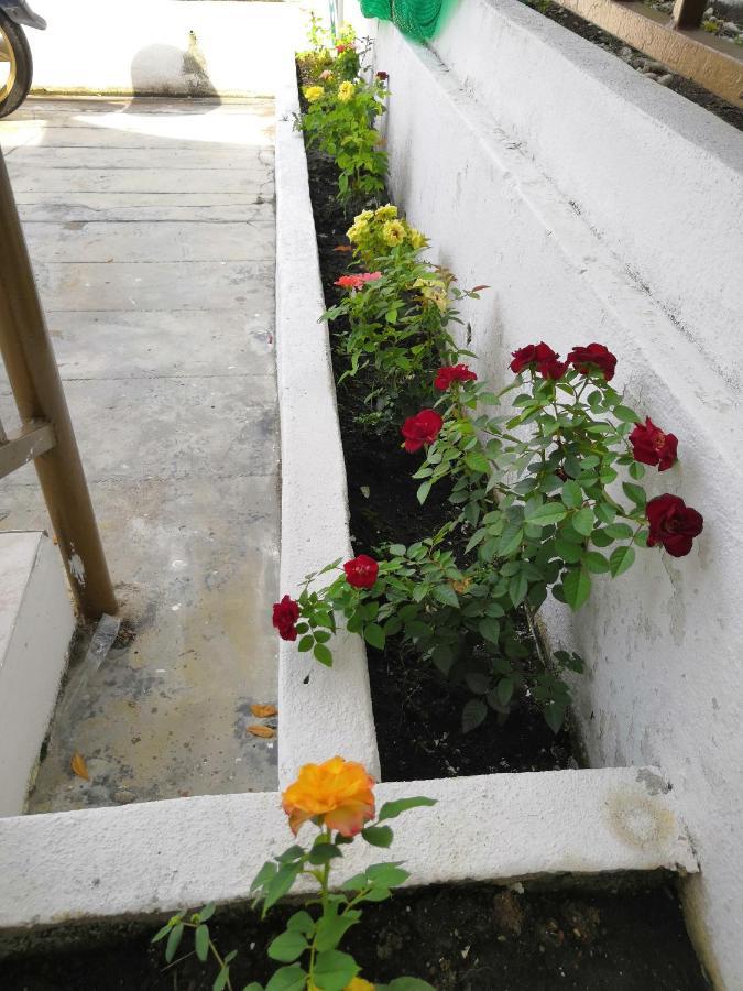 Jsw Inn Gelugor Luaran gambar